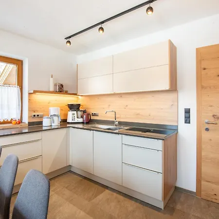 In Zell Am Ziller Near Lift * ゲルロスベルク